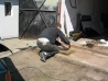 120_ 008.html